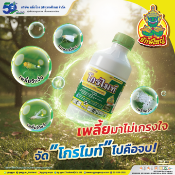 โกรไมท์